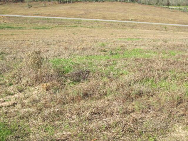 113 Joan Drive - Photo 1