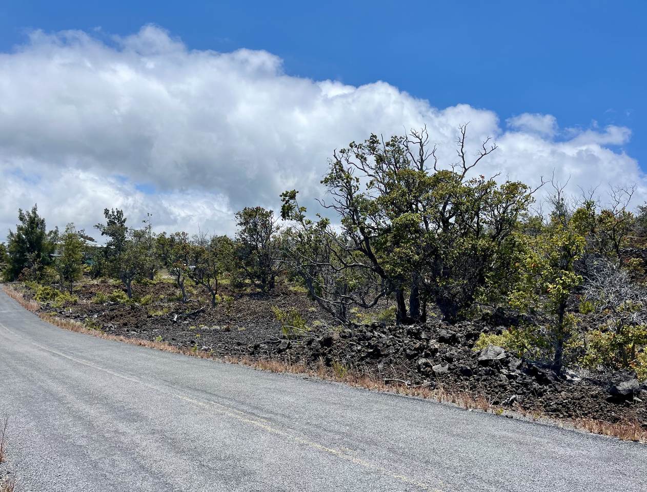 https://bt-photos.global.ssl.fastly.net/hawaii/1280_boomver_1_711482-2.jpg