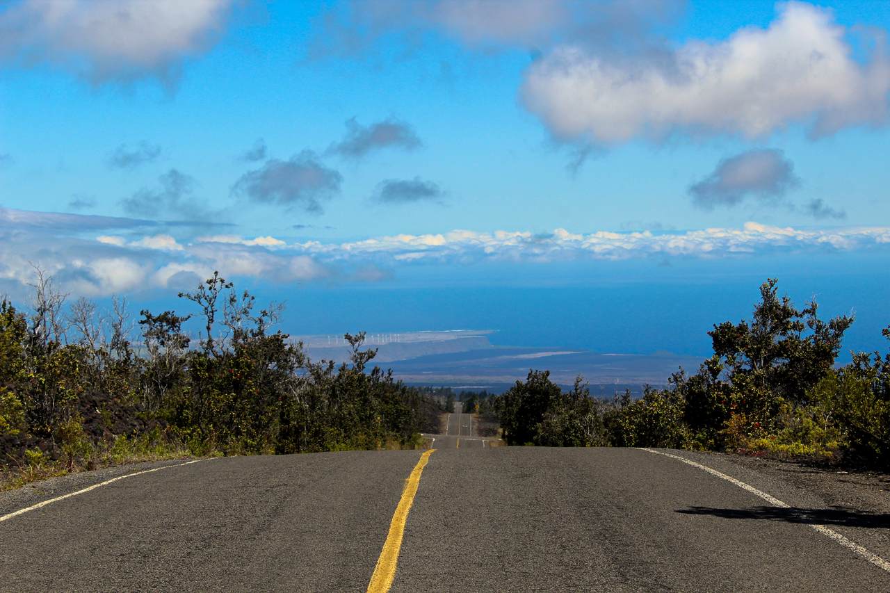  Trade Wind Blvd - Photo 1