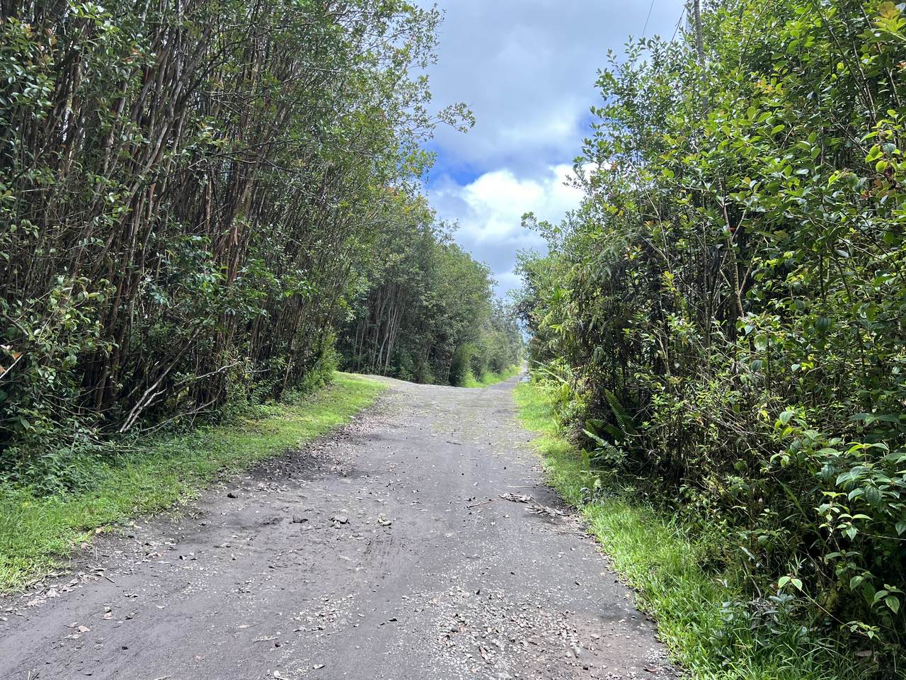  Road 4 (Io Kea) - Photo 1