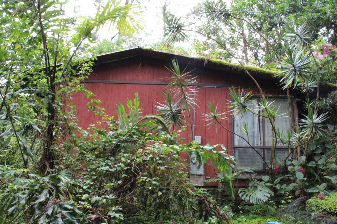 11-3247 Lehua St - Photo 1