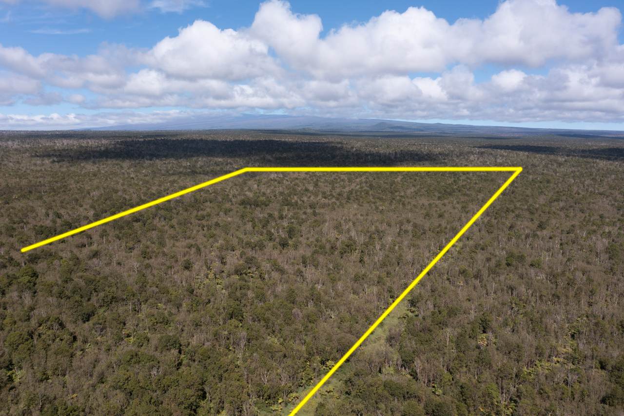  Glenwood Rd - Photo 1