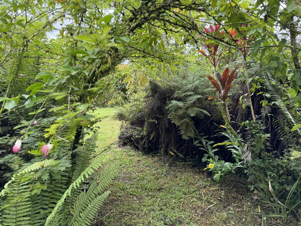https://bt-photos.global.ssl.fastly.net/hawaii/1280_boomver_1_713877-2.jpg