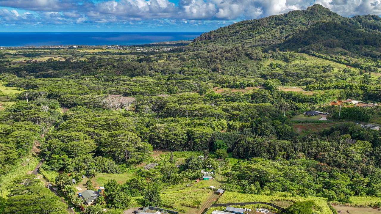 https://bt-photos.global.ssl.fastly.net/hawaii/1280_boomver_1_713881-2.jpg