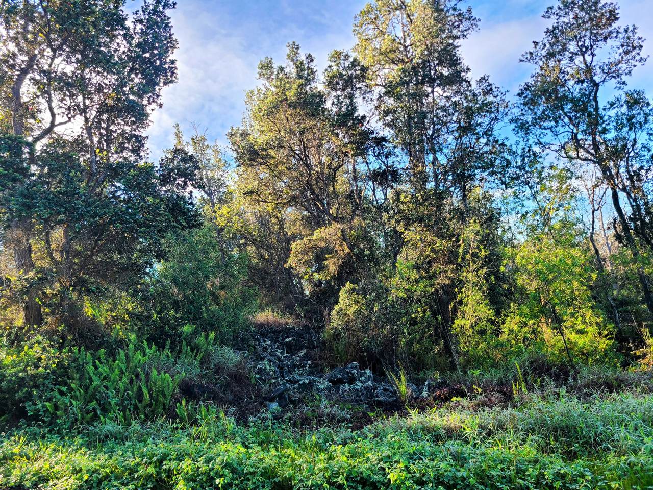 Hukilau Dr - Photo 1