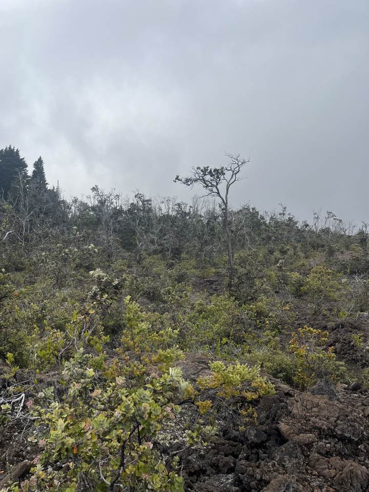  Address Not Published - Photo 1