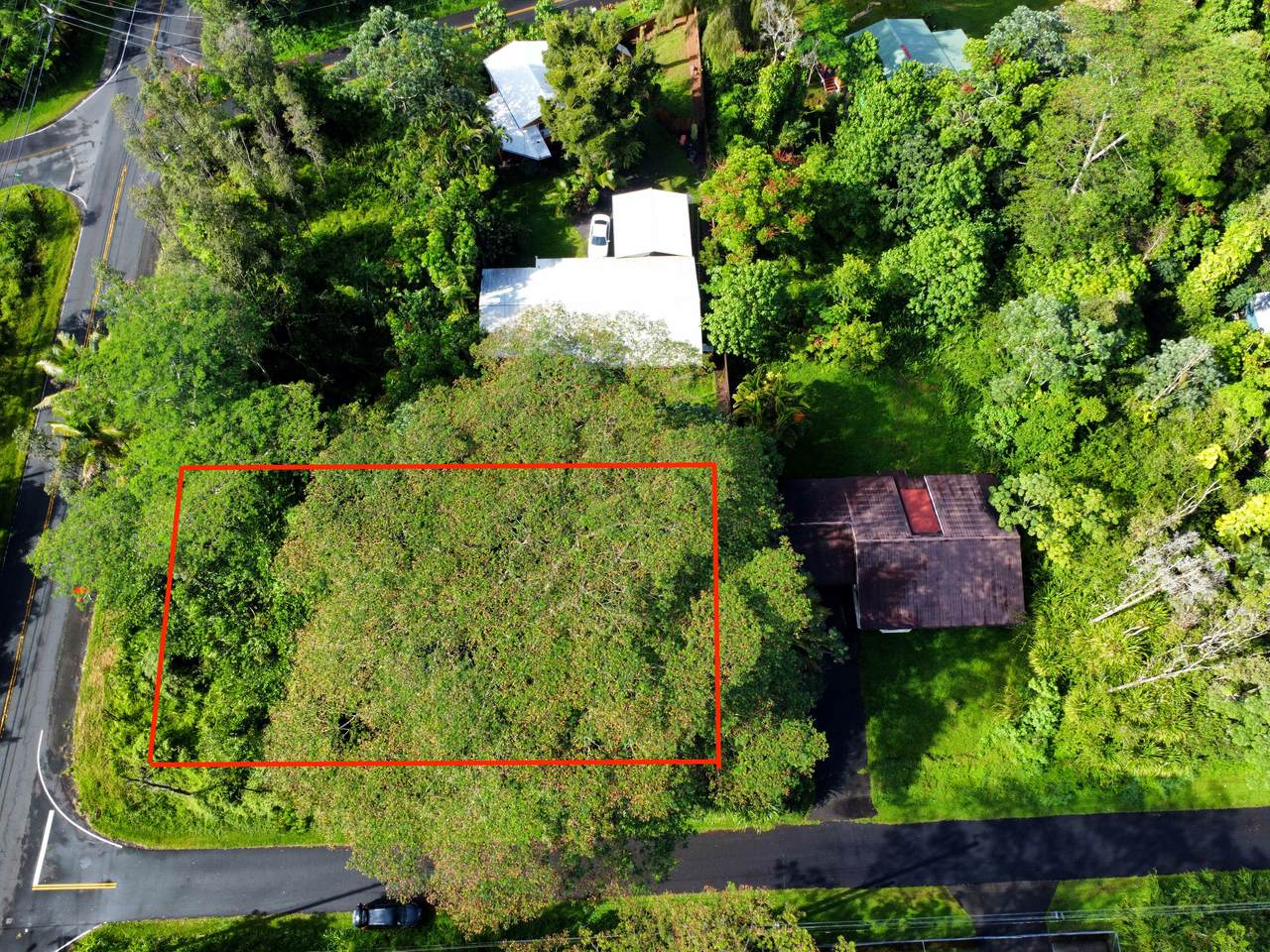 Kawakawa St - Photo 1