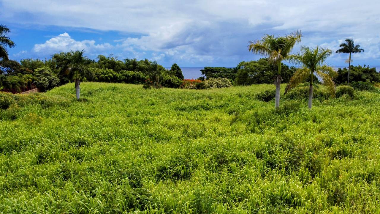 31-154 Hawaii Belt Rd - Photo 1