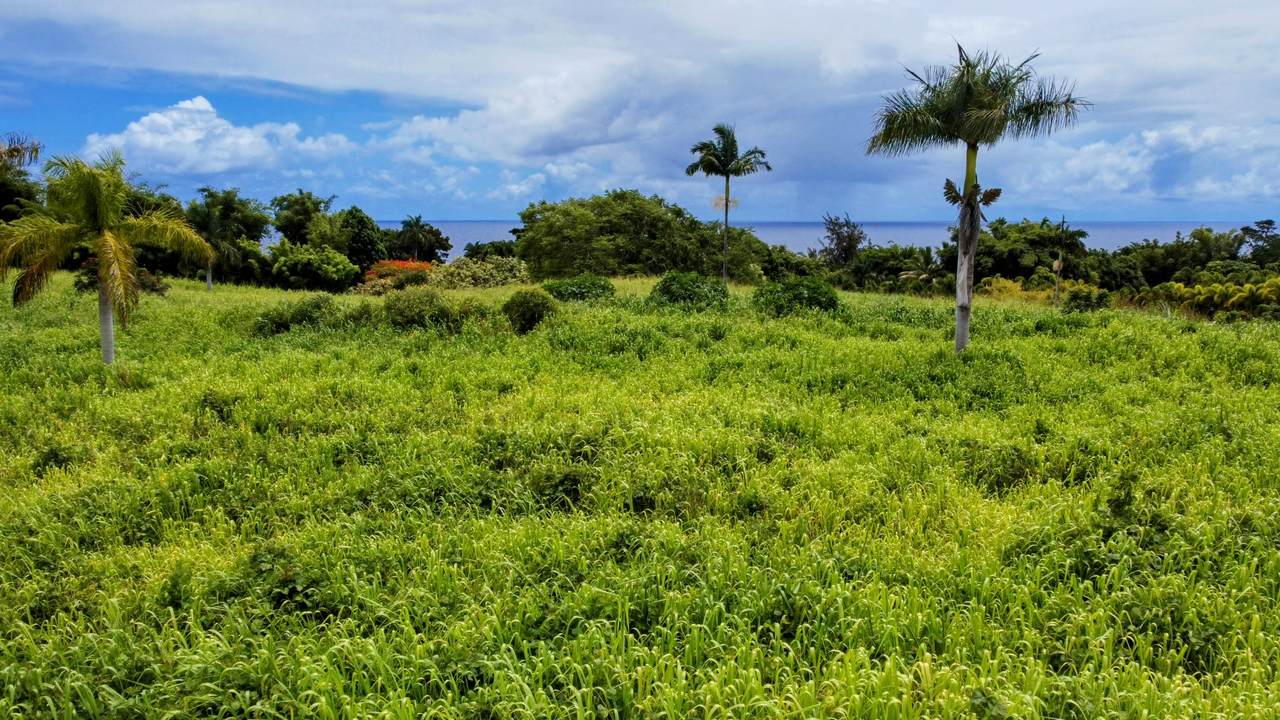 https://bt-photos.global.ssl.fastly.net/hawaii/1280_boomver_1_715097-2.jpg