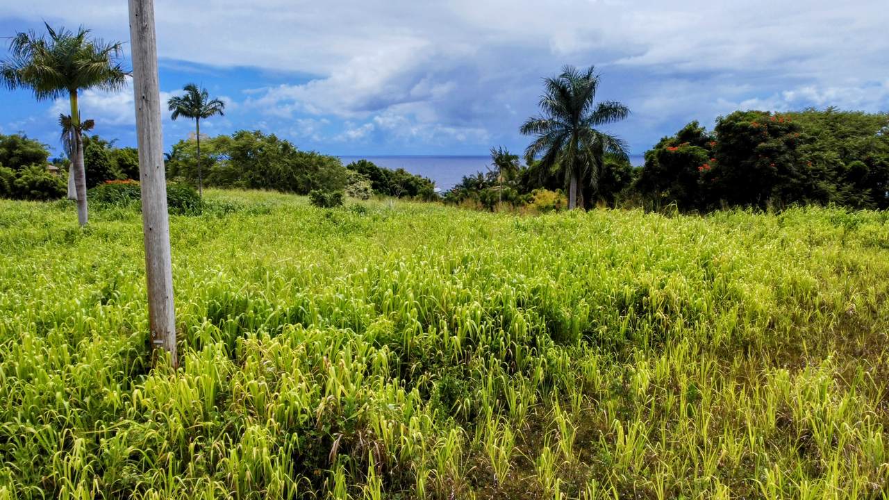 https://bt-photos.global.ssl.fastly.net/hawaii/1280_boomver_1_715097-2.jpg