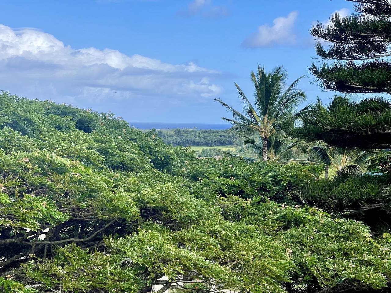 3-3400 Kuhio Hwy - Photo 1