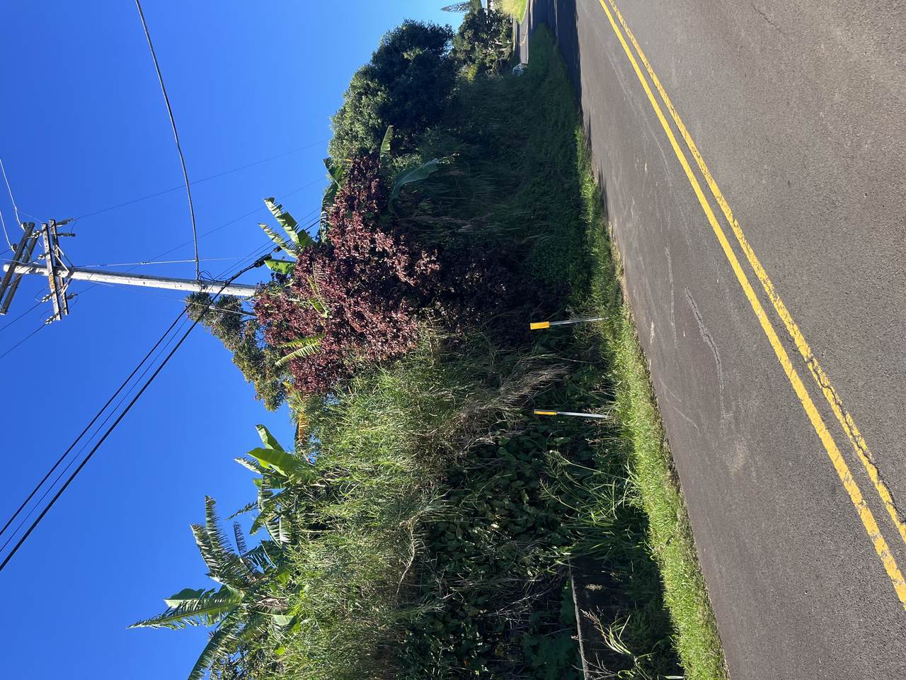 https://bt-photos.global.ssl.fastly.net/hawaii/1280_boomver_1_716454-2.jpg