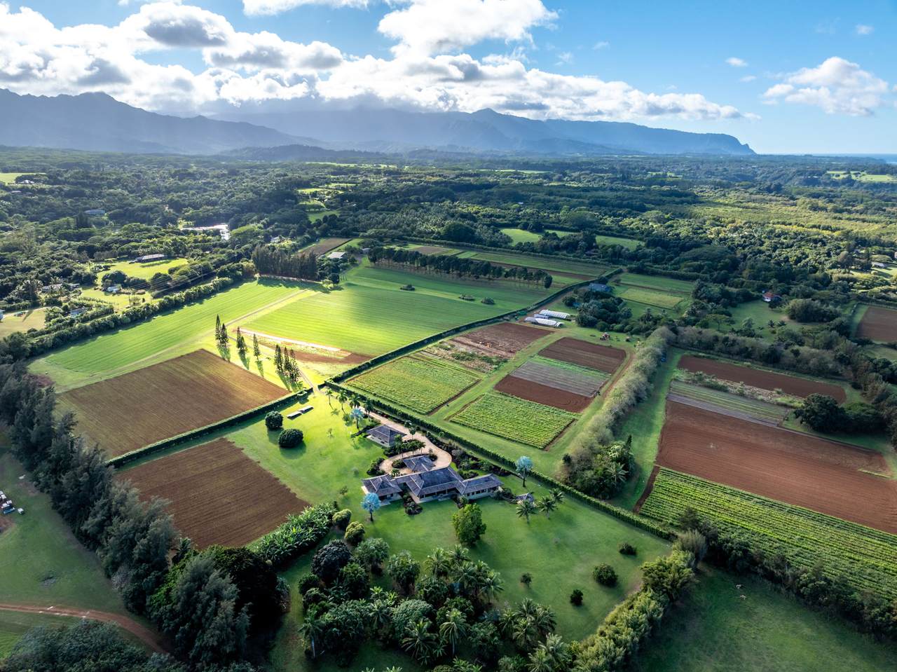 4469 Waiakalua St - Photo 1