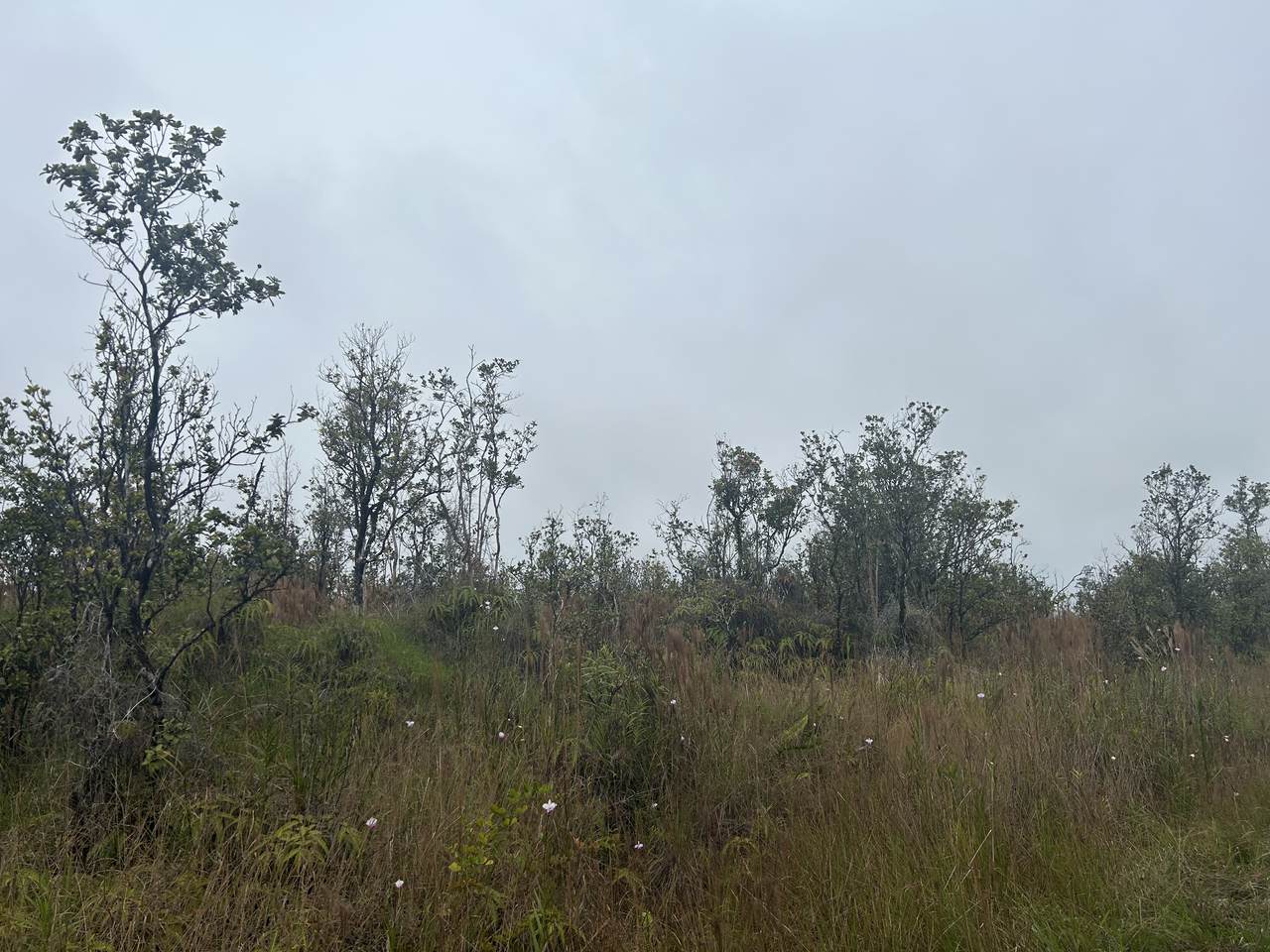 Omeka Rd - Photo 1