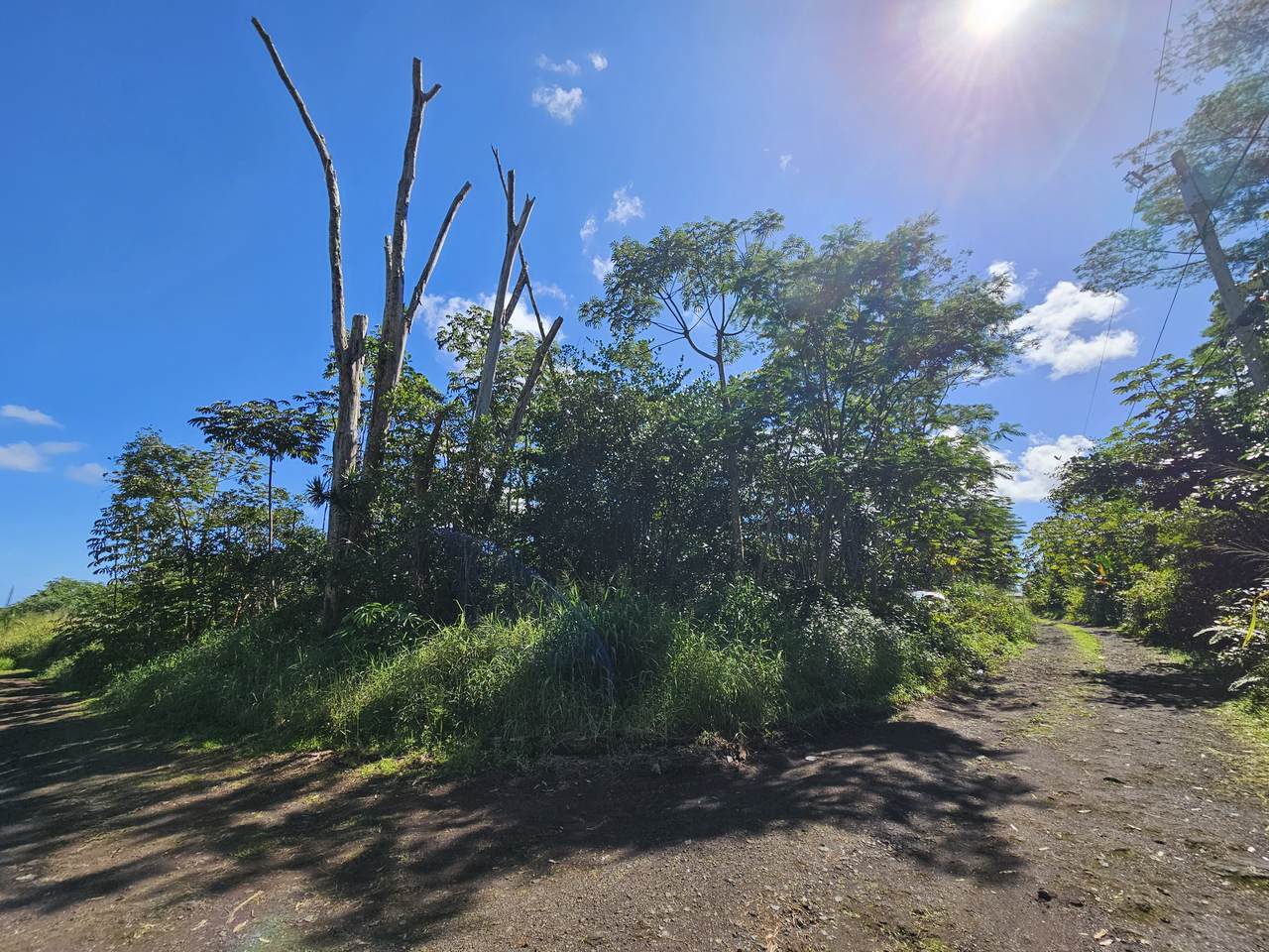 https://bt-photos.global.ssl.fastly.net/hawaii/1280_boomver_1_717408-2.jpg