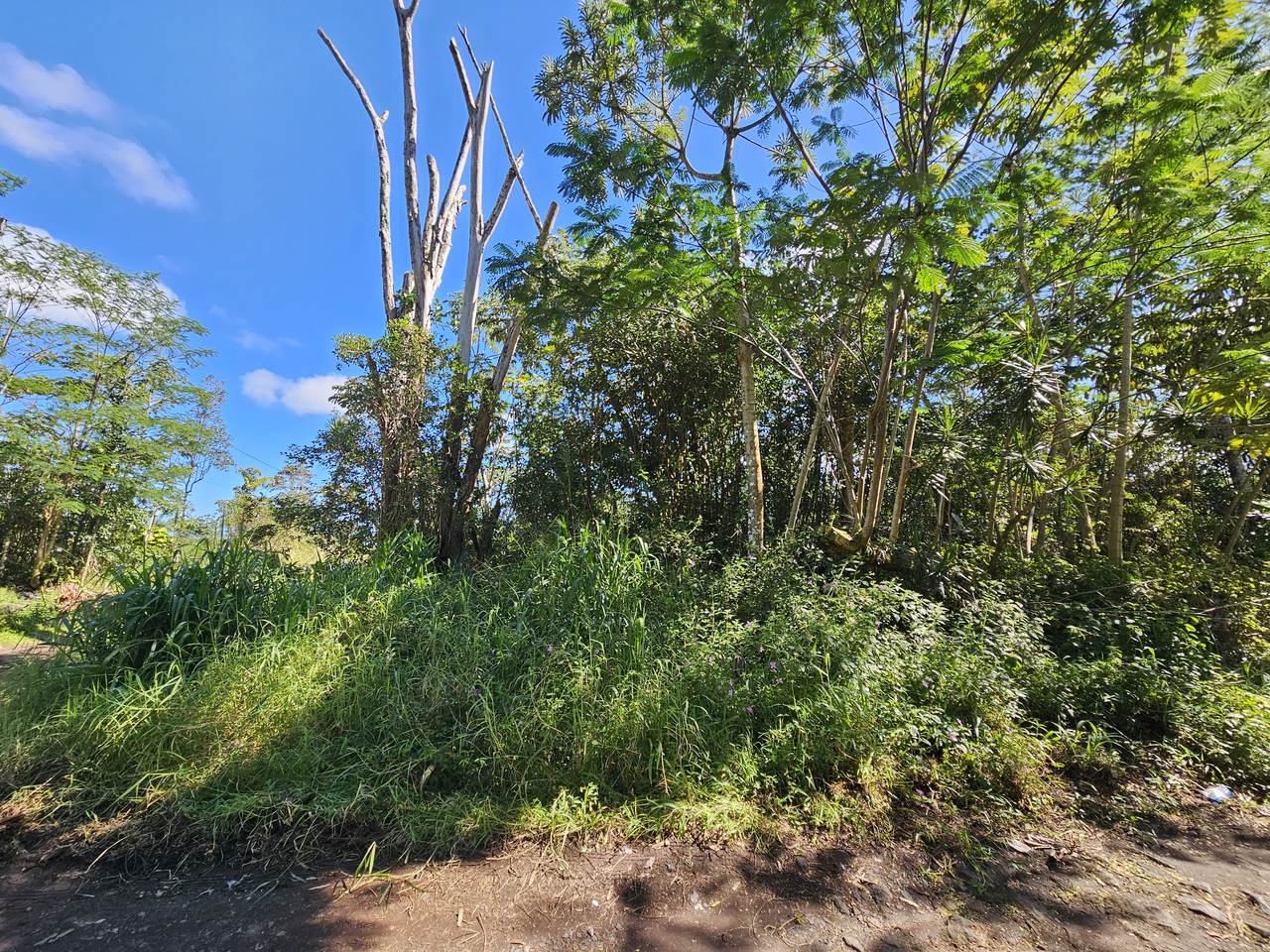 https://bt-photos.global.ssl.fastly.net/hawaii/1280_boomver_1_717408-2.jpg