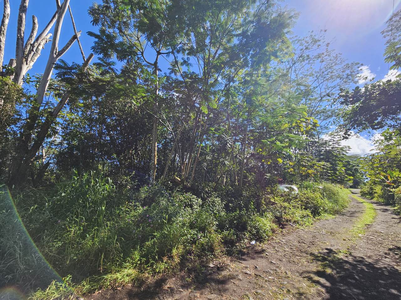 https://bt-photos.global.ssl.fastly.net/hawaii/1280_boomver_1_717408-2.jpg