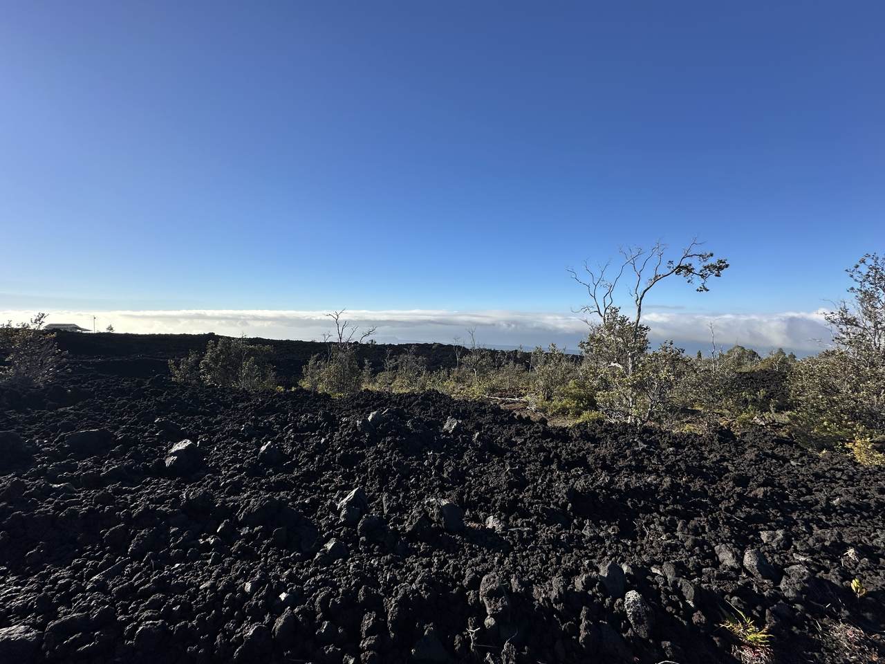  Ocean View Pkwy - Photo 1