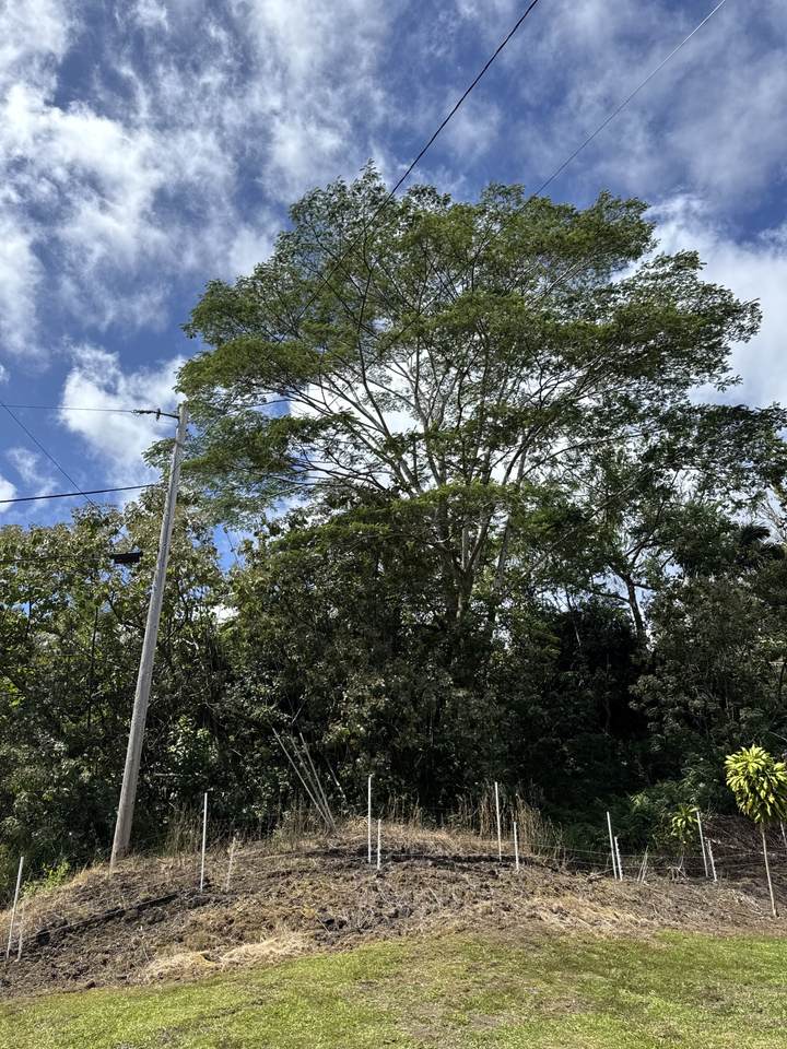 https://bt-photos.global.ssl.fastly.net/hawaii/1280_boomver_1_718013-2.jpg