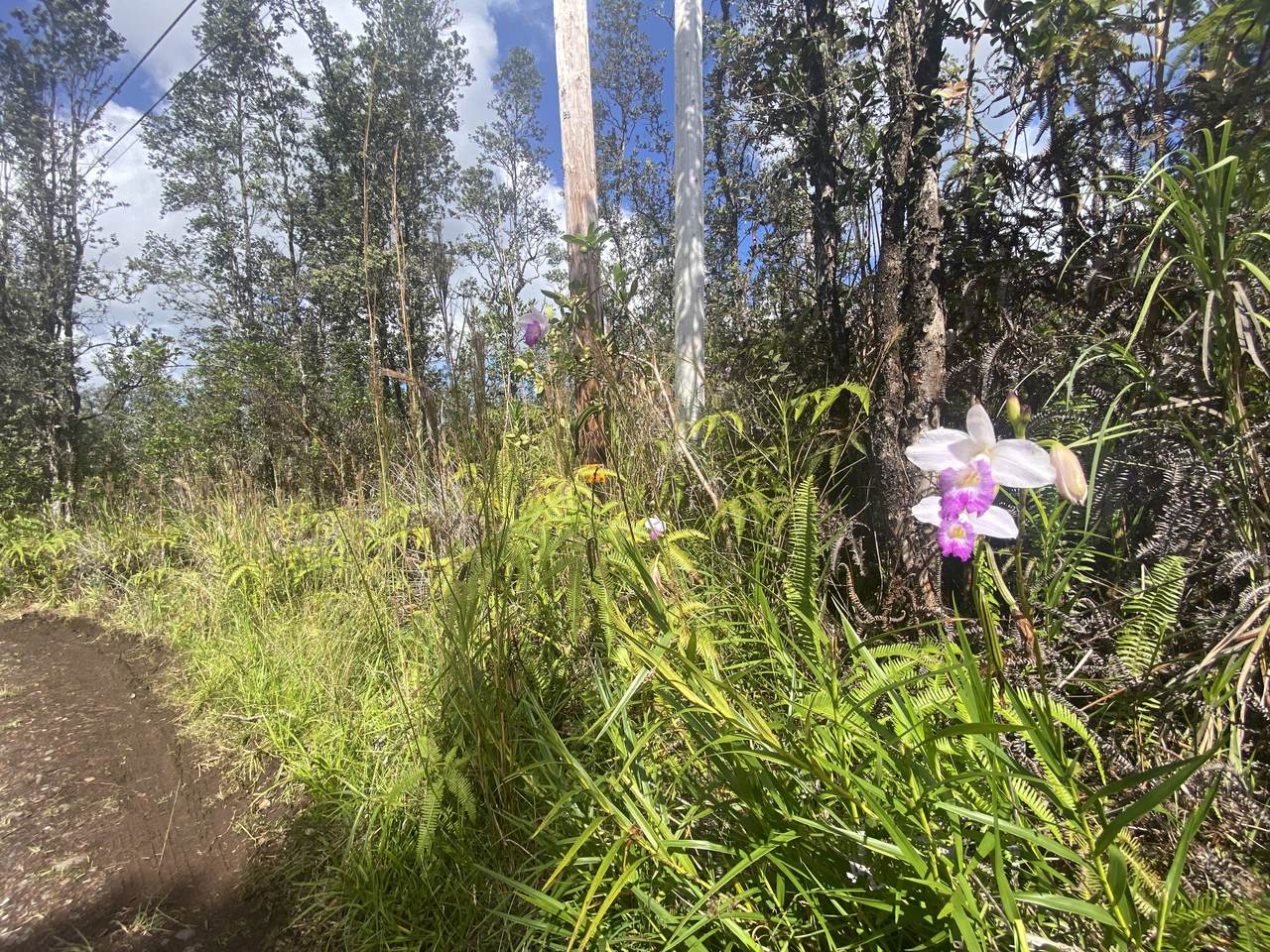 https://bt-photos.global.ssl.fastly.net/hawaii/1280_boomver_1_718065-2.jpg