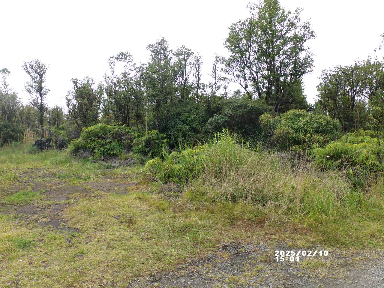  Malia Aina Rd - Photo 1