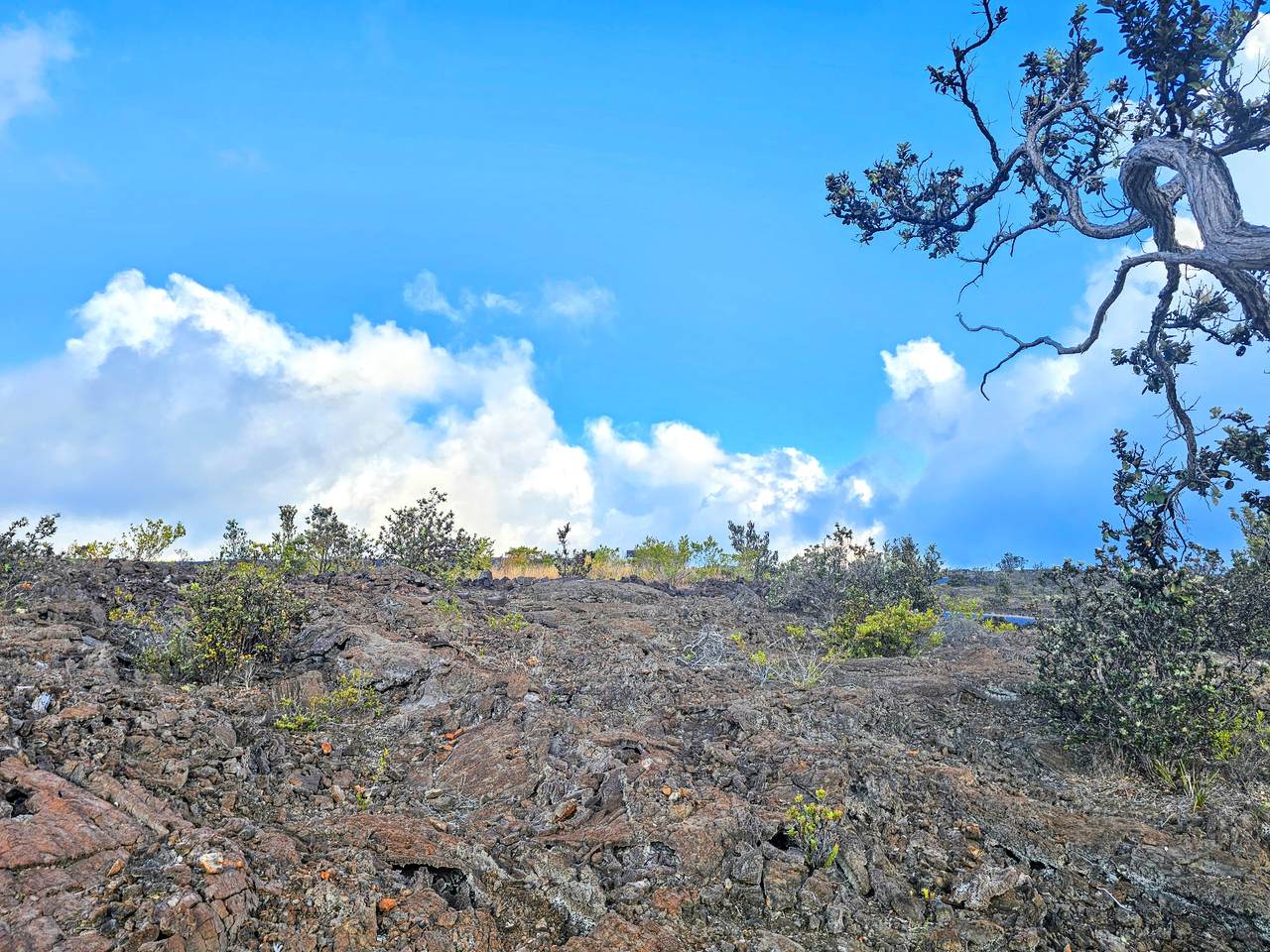 Koa Ln - Photo 1