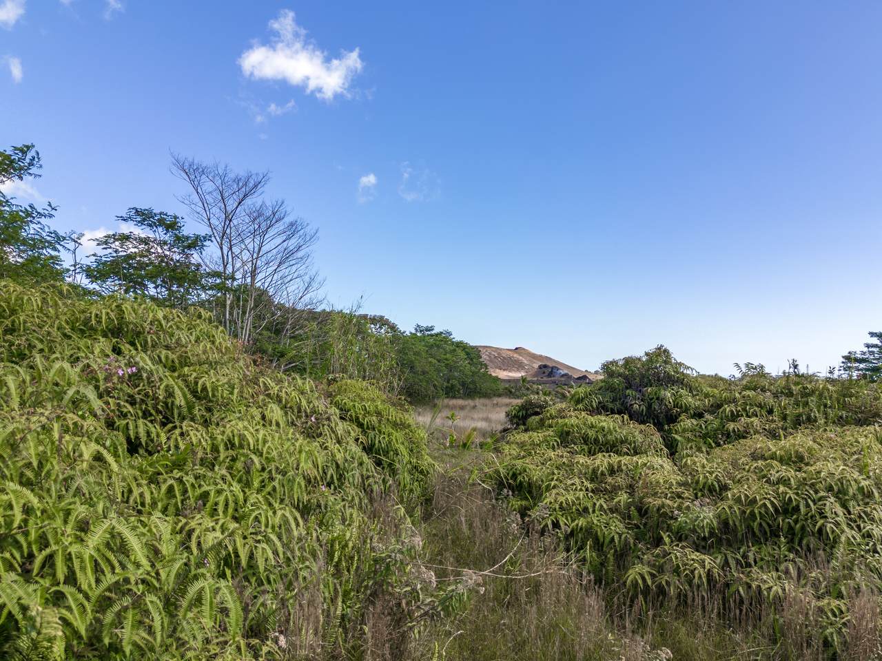 https://bt-photos.global.ssl.fastly.net/hawaii/1280_boomver_1_718409-1.jpg