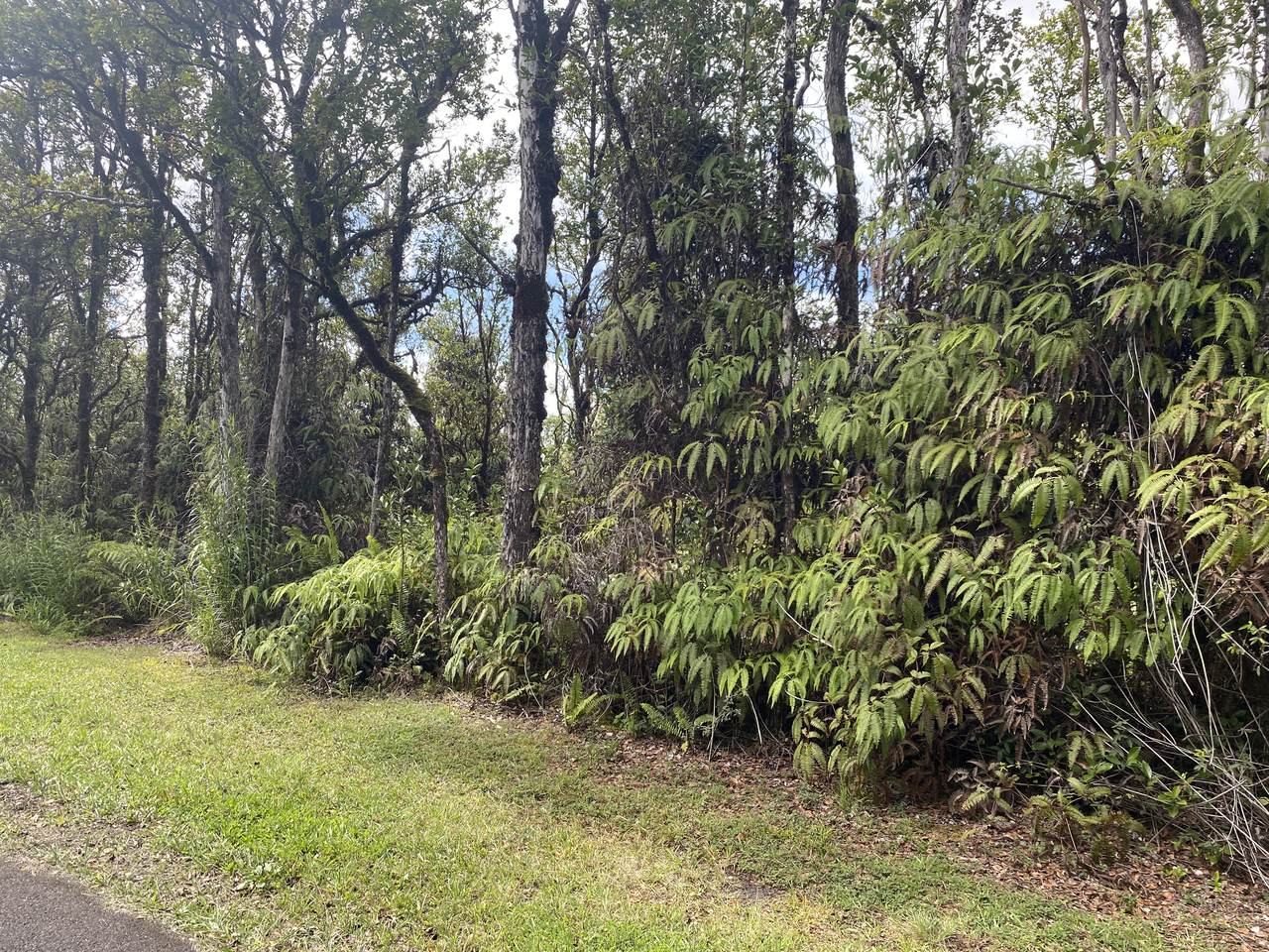 https://bt-photos.global.ssl.fastly.net/hawaii/1280_boomver_1_718538-2.jpg