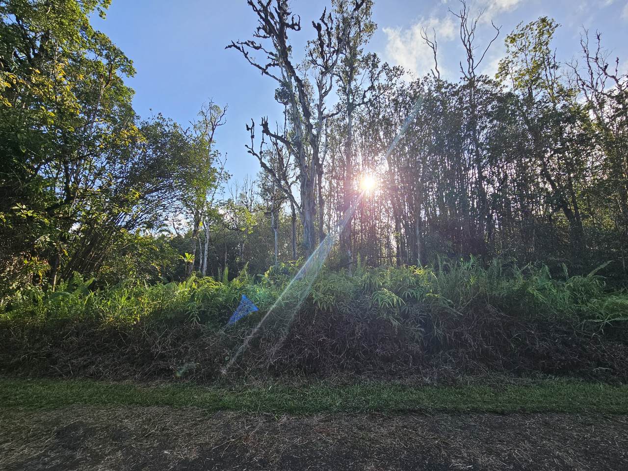 https://bt-photos.global.ssl.fastly.net/hawaii/1280_boomver_1_719461-2.jpg