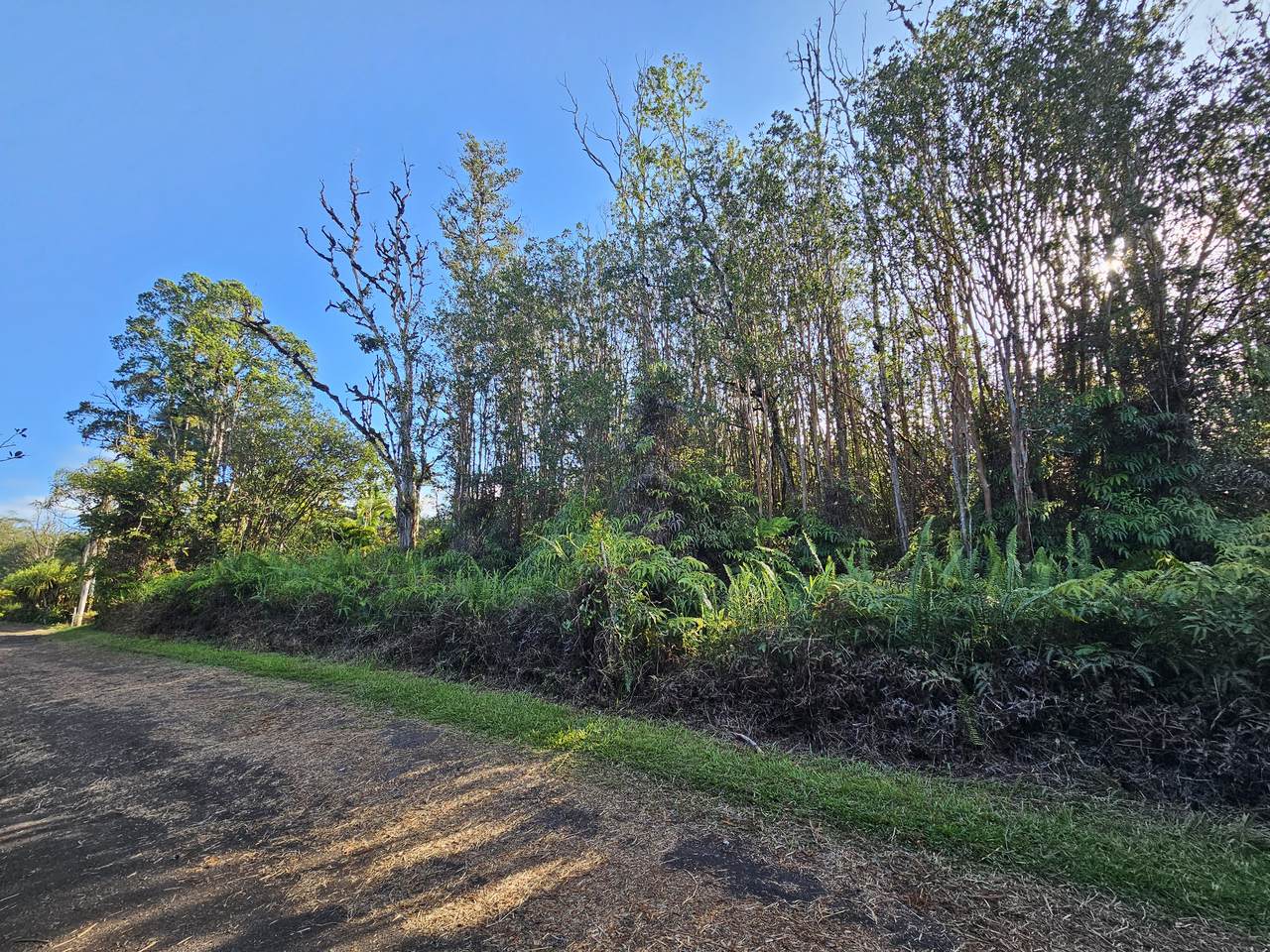 https://bt-photos.global.ssl.fastly.net/hawaii/1280_boomver_1_719461-2.jpg