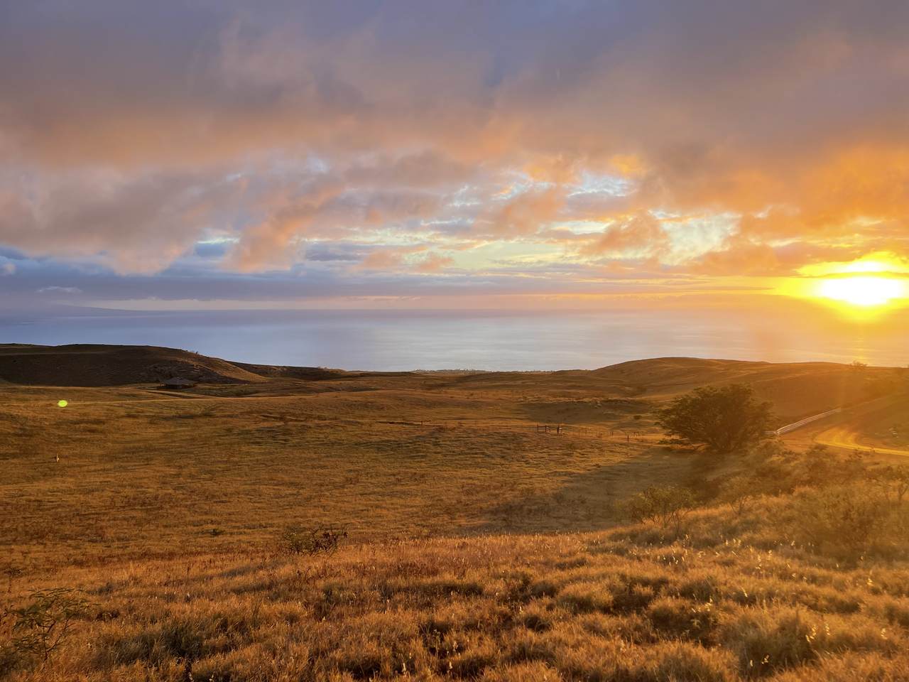  Kamakani Loop - Photo 1