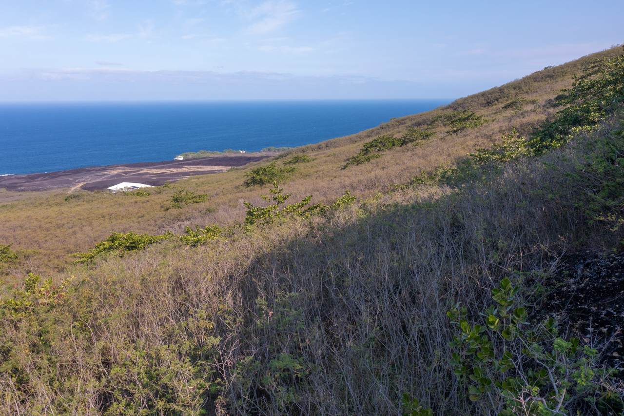 https://bt-photos.global.ssl.fastly.net/hawaii/1280_boomver_1_719617-2.jpg