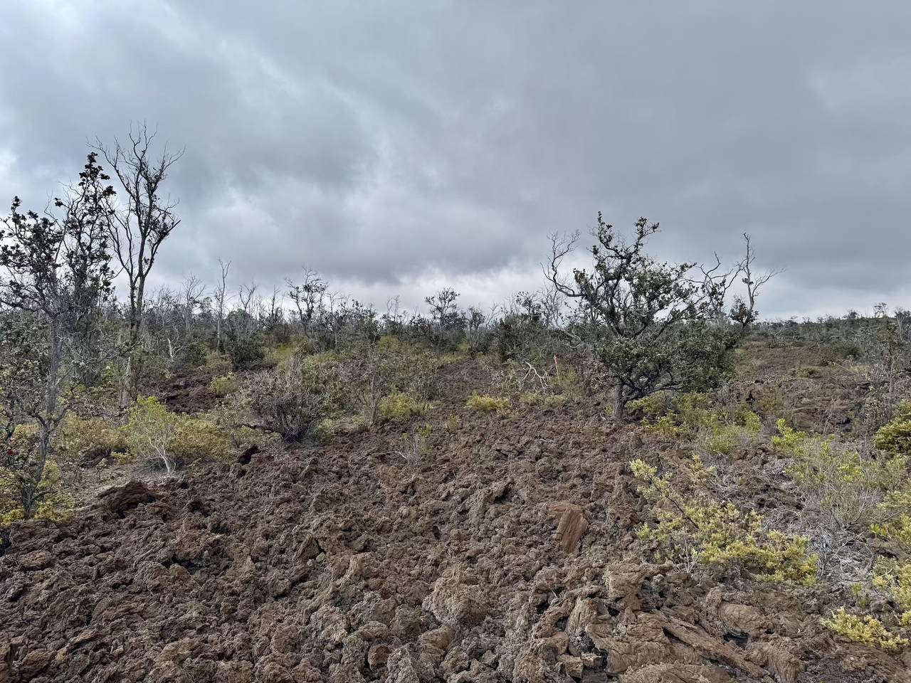 https://bt-photos.global.ssl.fastly.net/hawaii/1280_boomver_1_719719-2.jpg