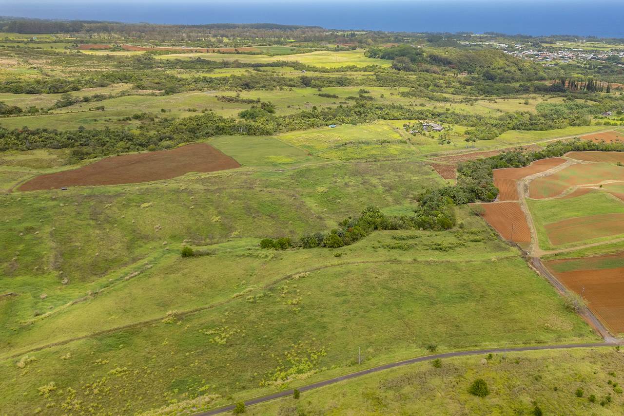 https://bt-photos.global.ssl.fastly.net/hawaii/1280_boomver_2_719872-1.jpg