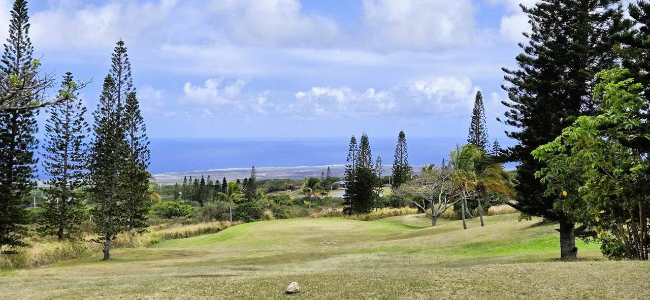 https://bt-photos.global.ssl.fastly.net/hawaii/1280_boomver_1_719935-2.jpg