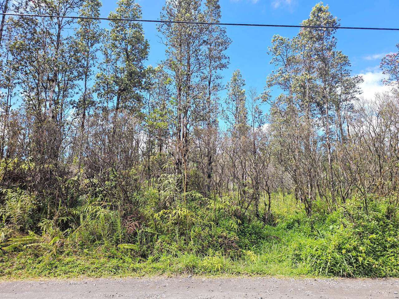 Road F (Ale) - Photo 1