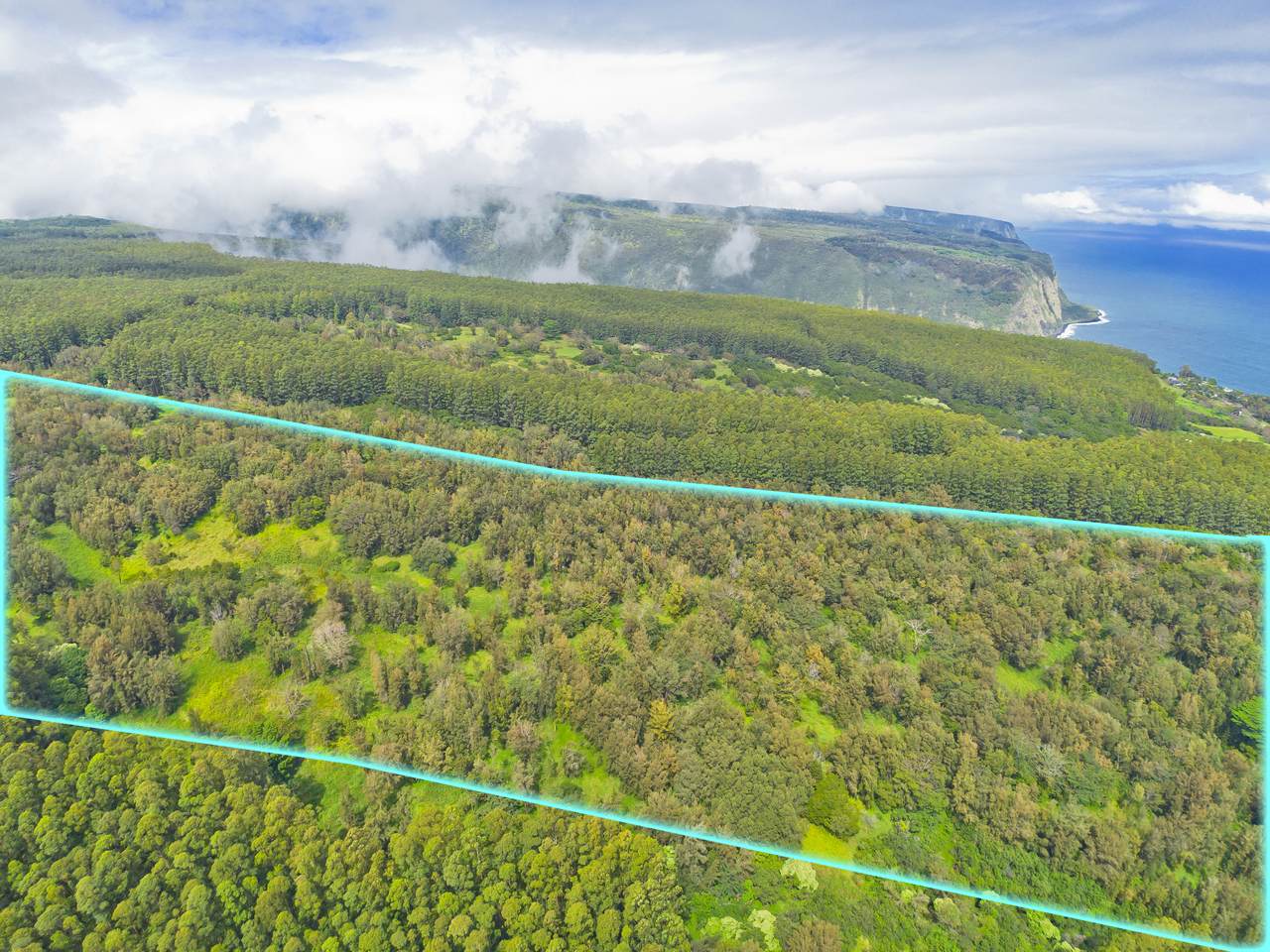  Address Not Published - Photo 1