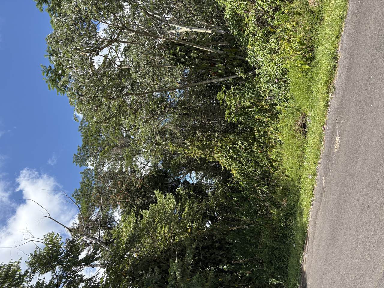 https://bt-photos.global.ssl.fastly.net/hawaii/1280_boomver_1_720372-2.jpg