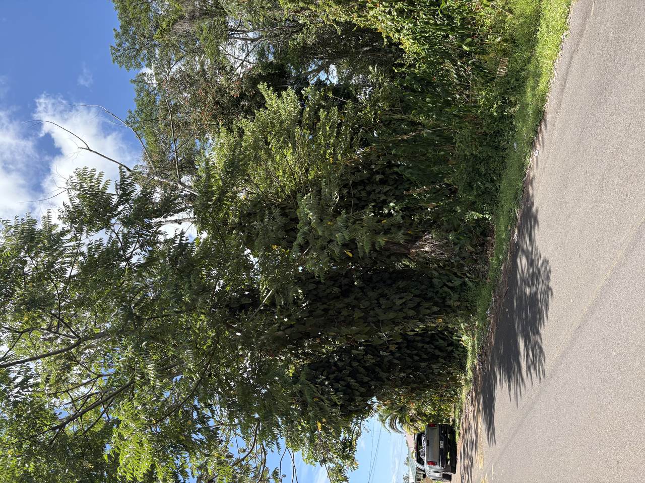 https://bt-photos.global.ssl.fastly.net/hawaii/1280_boomver_1_720372-2.jpg