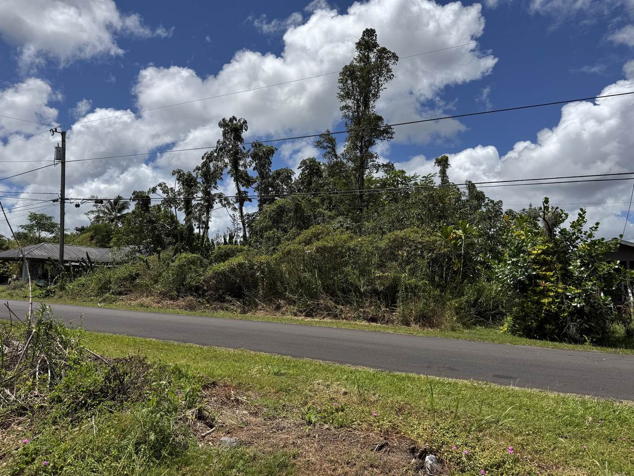 King Kamehameha Blvd - Photo 1