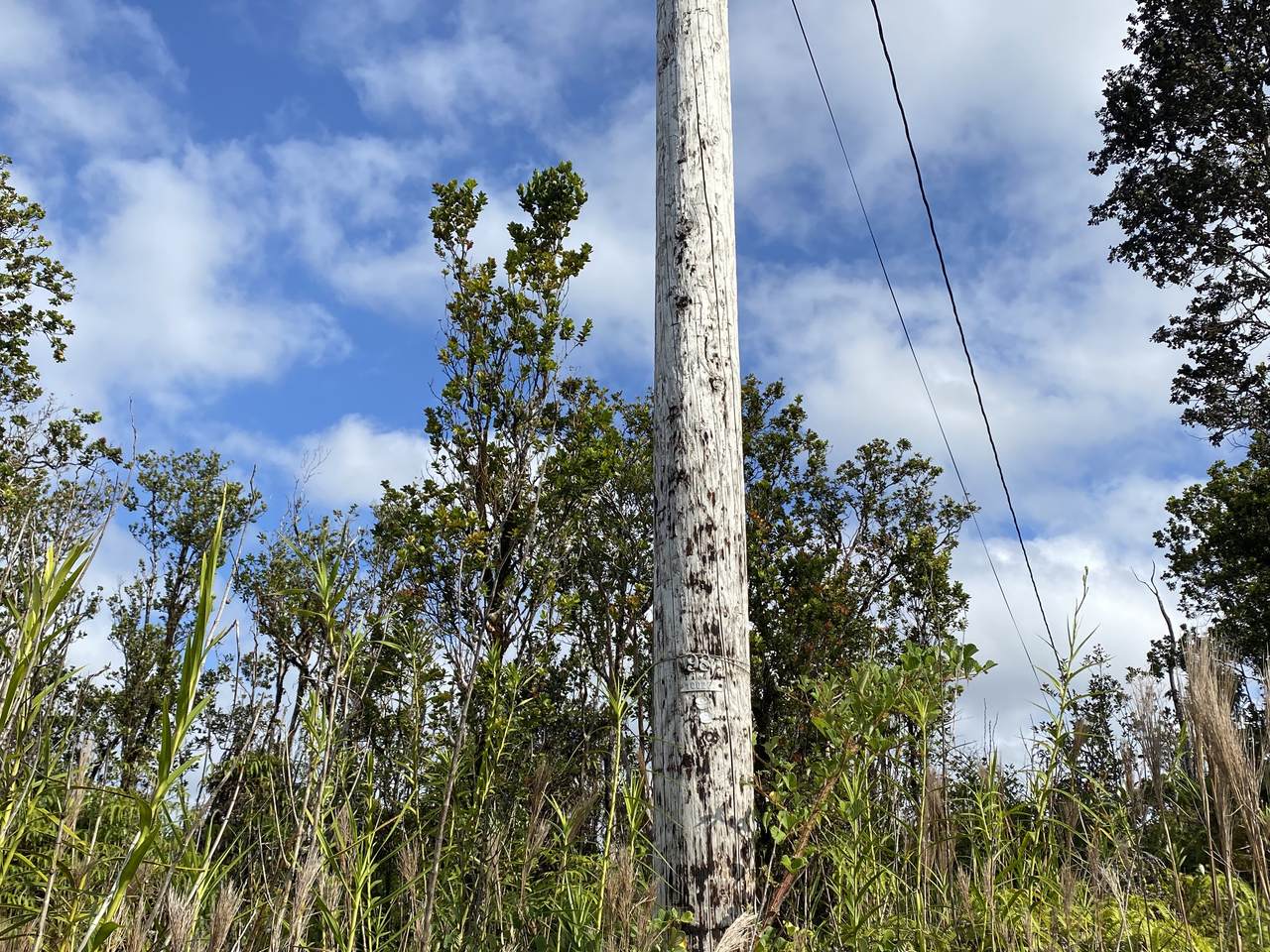 https://bt-photos.global.ssl.fastly.net/hawaii/1280_boomver_1_720568-2.jpg