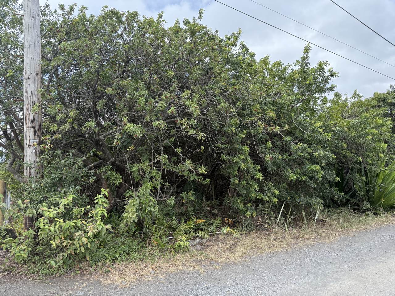 https://bt-photos.global.ssl.fastly.net/hawaii/1280_boomver_1_720640-2.jpg