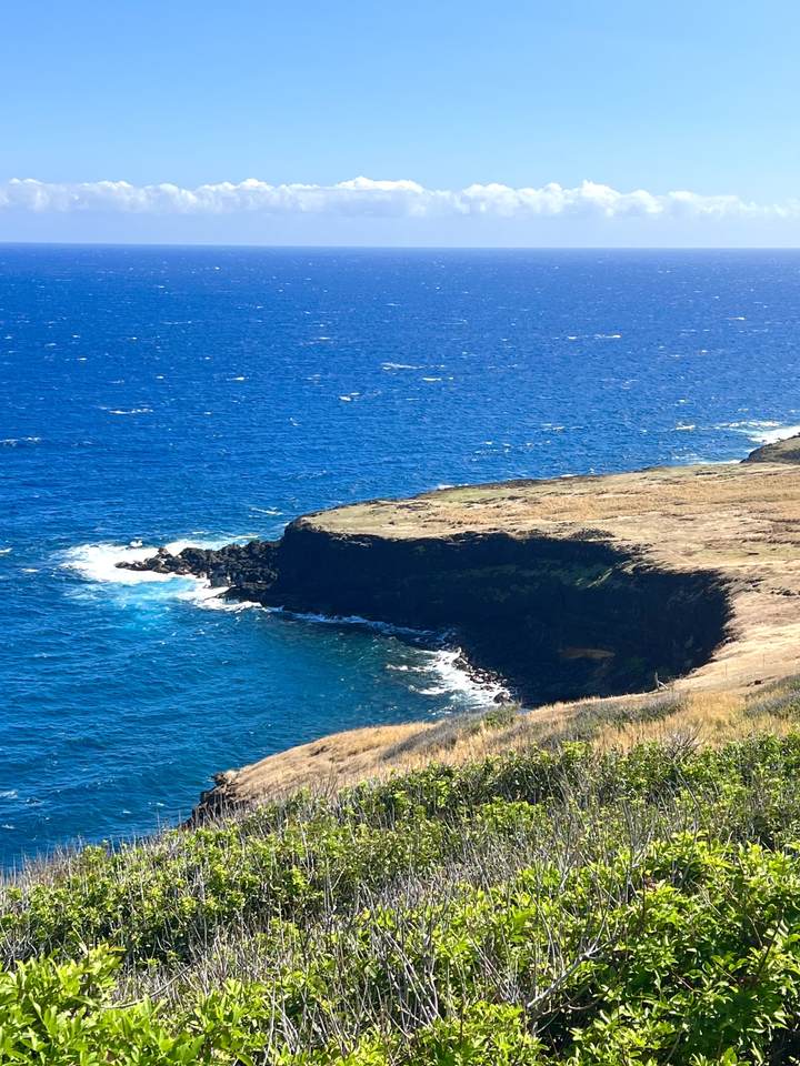https://bt-photos.global.ssl.fastly.net/hawaii/1280_boomver_1_721000-10.jpg