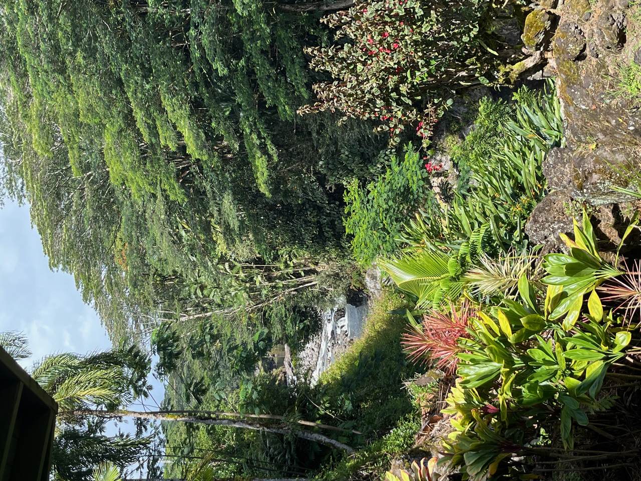 254 Kaiulani St - Photo 1