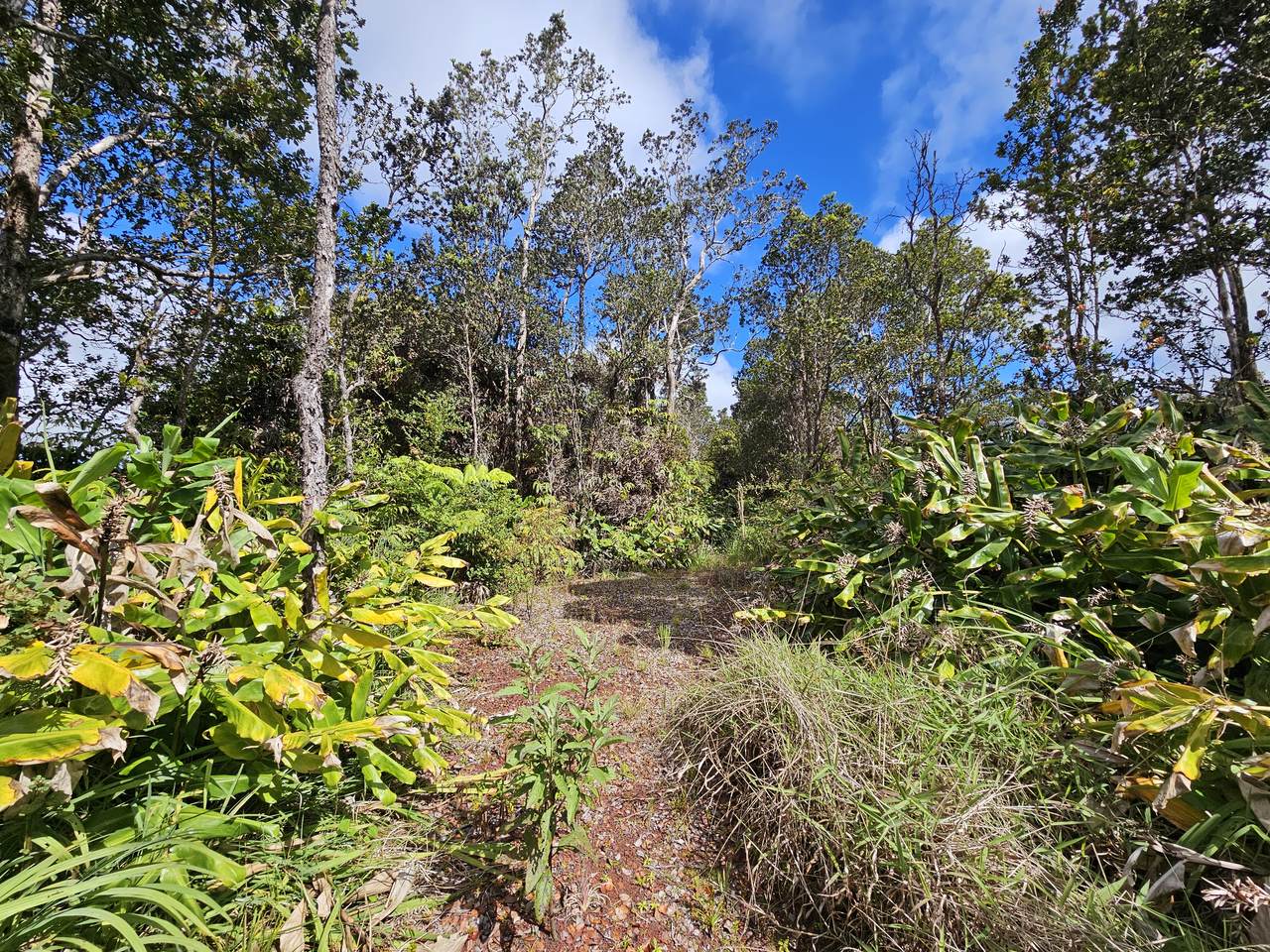 https://bt-photos.global.ssl.fastly.net/hawaii/1280_boomver_1_721550-1.jpg