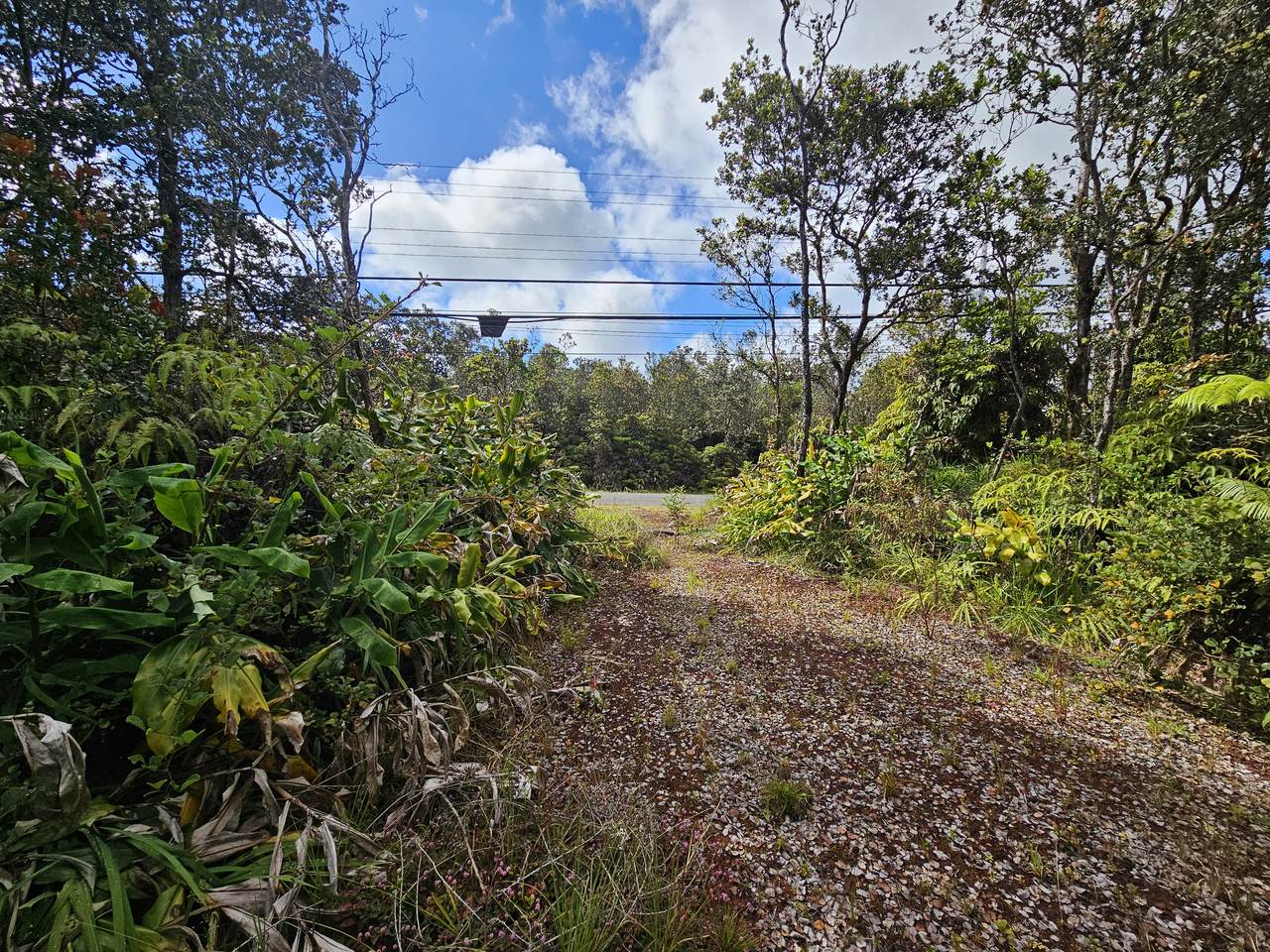 https://bt-photos.global.ssl.fastly.net/hawaii/1280_boomver_1_721550-1.jpg