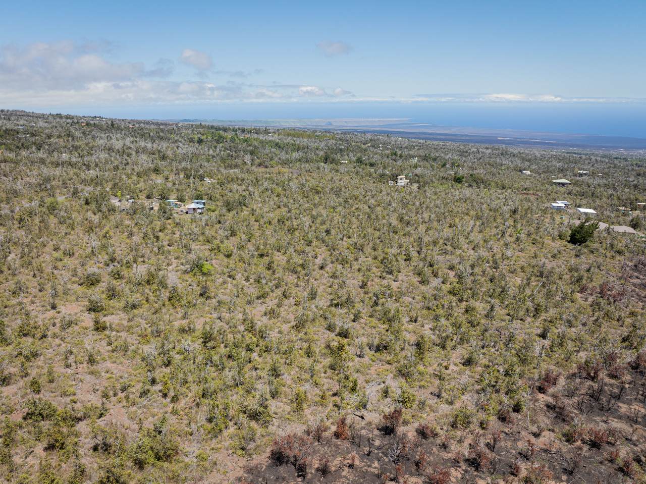 Cocoanut Dr - Photo 1