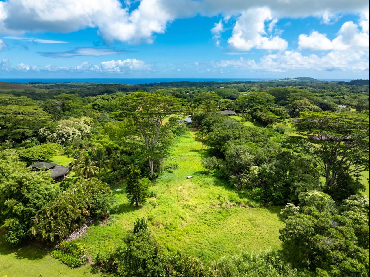 Kahiliholo Rd - Photo 1