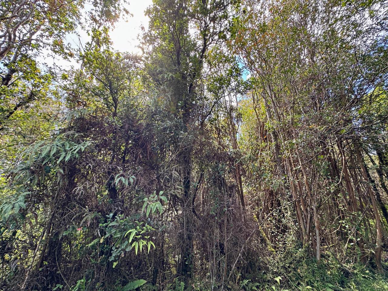 Road 11 - Photo 1