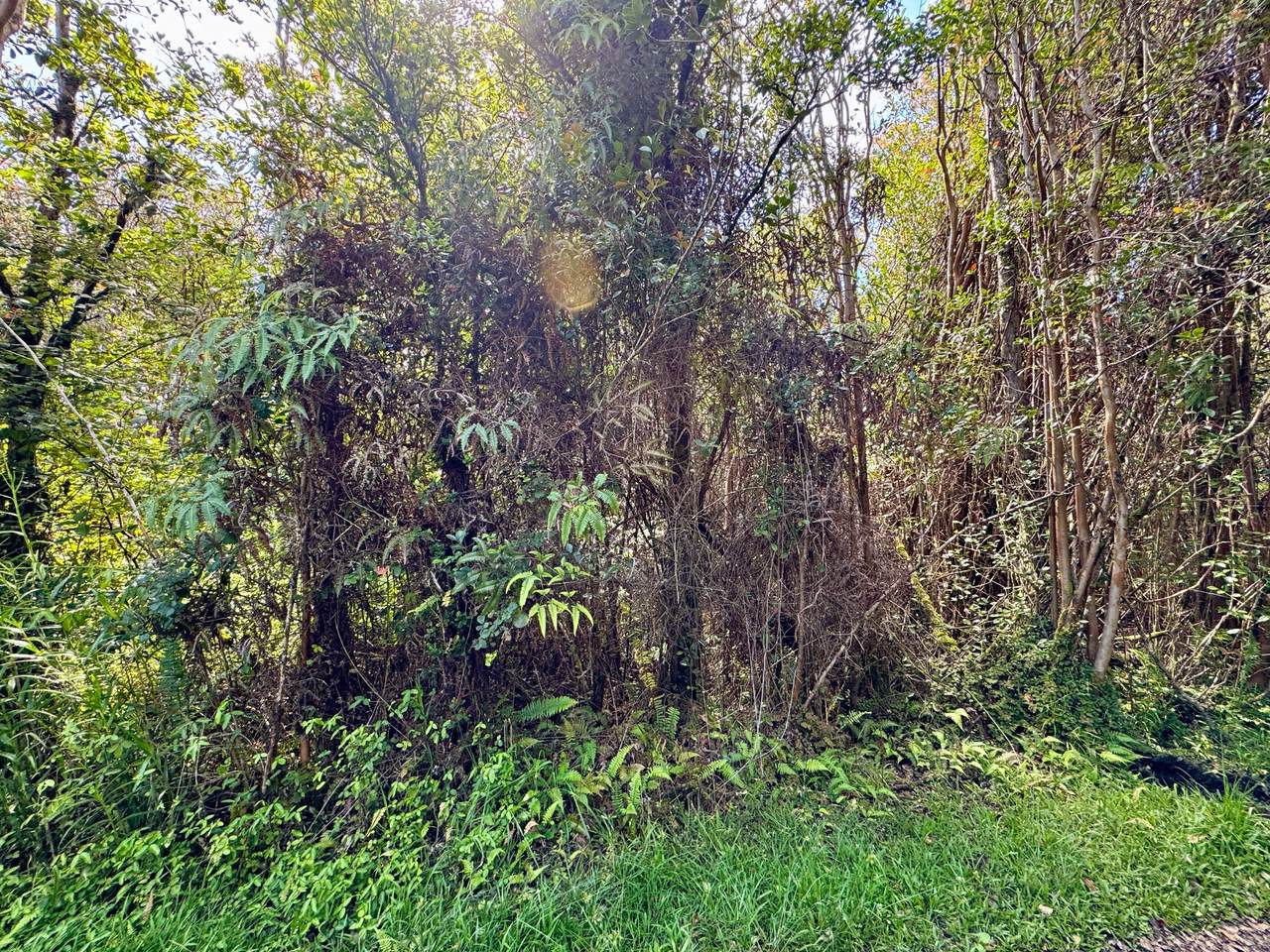 https://bt-photos.global.ssl.fastly.net/hawaii/1280_boomver_1_721871-1.jpg